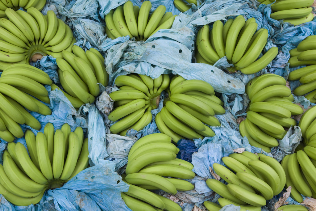Bunches of bananas on top of dried blue banana leaves