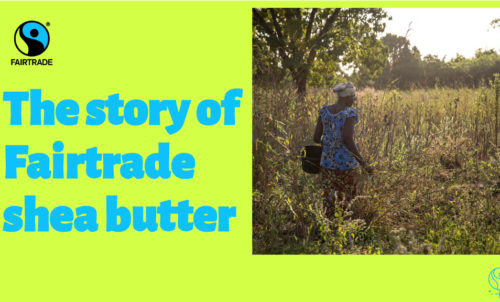 The story of Fairtrade shea butter