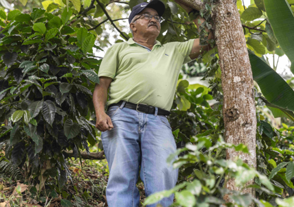 Protecting forests with Fairtrade farmers